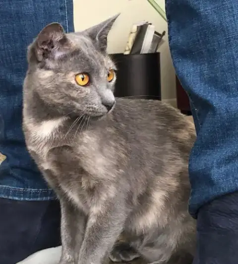 Greta photo 2