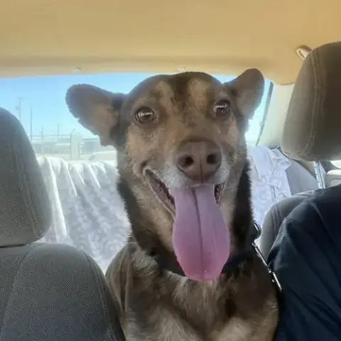 Wheatly photo 5