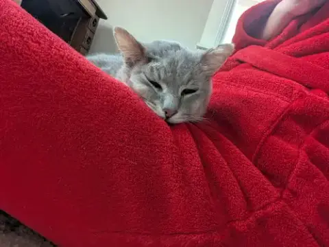 Gandalf photo 2