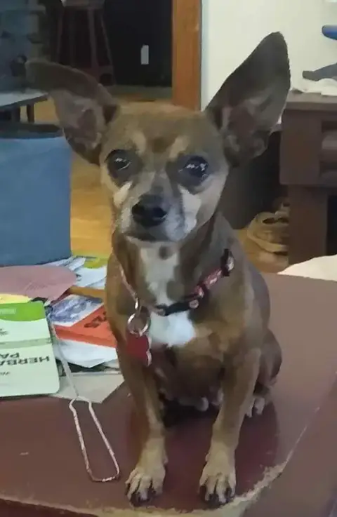 Ellie Mae Jun 25 photo 5