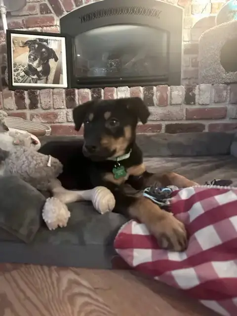Moe