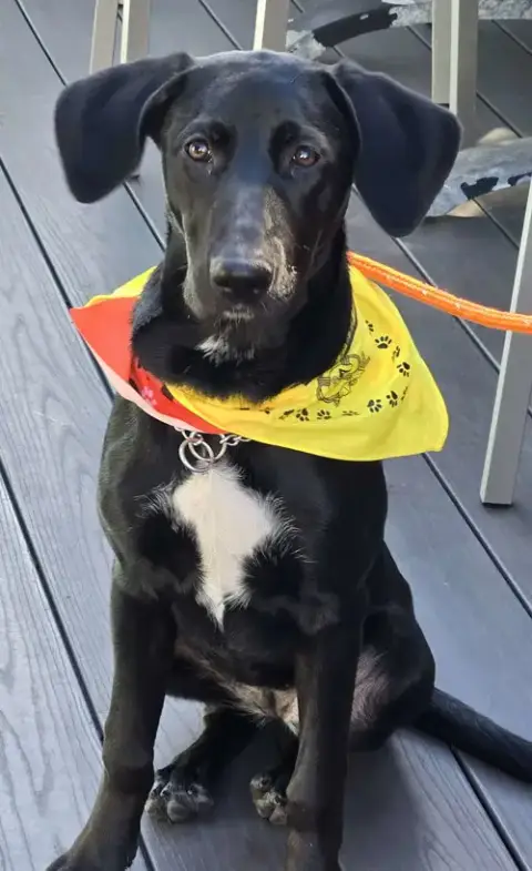 Samantha