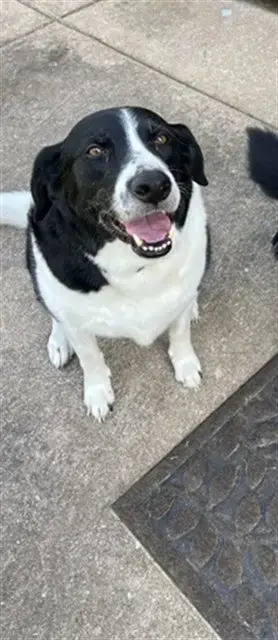 Remi