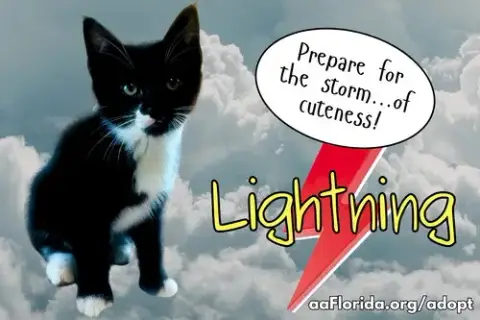Lightning