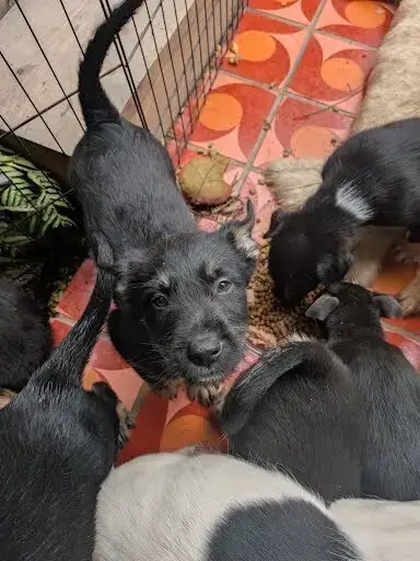 Sokka