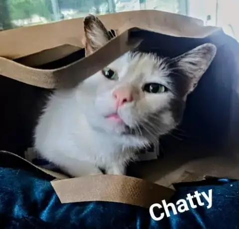 Chatty photo 5