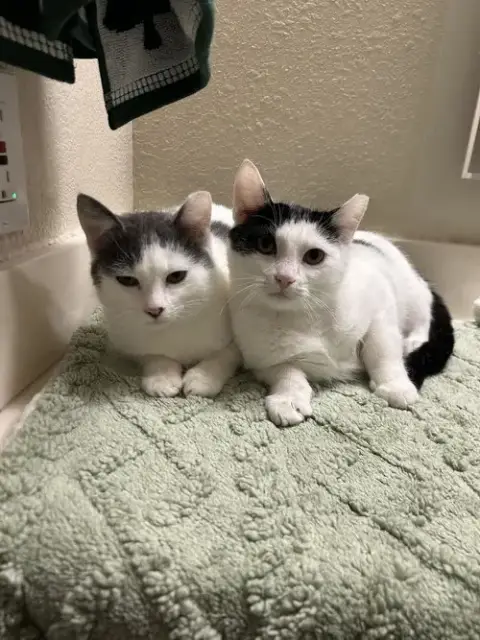 Bruce And Bucky
