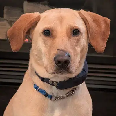Jake photo 2