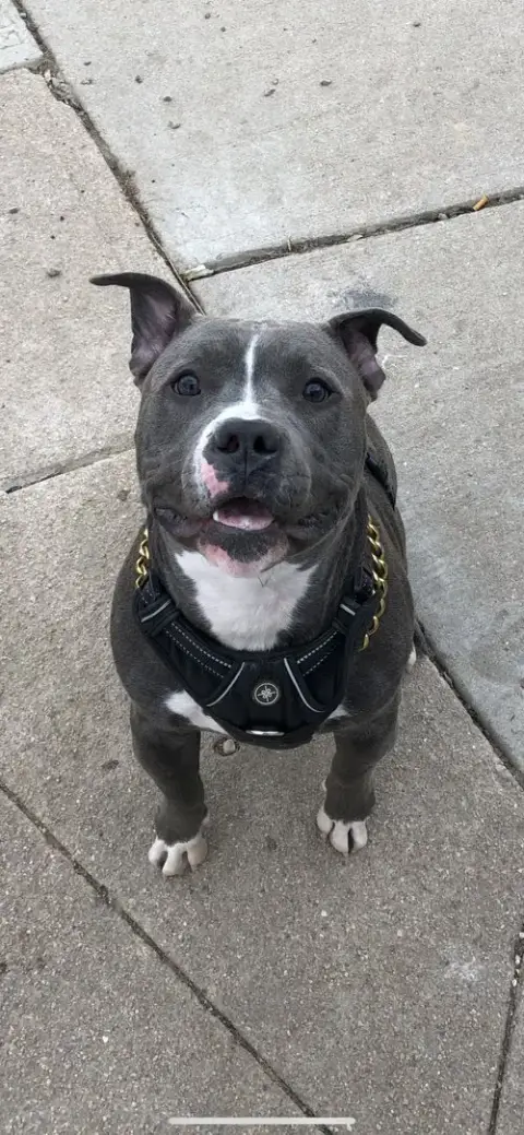 Achilles