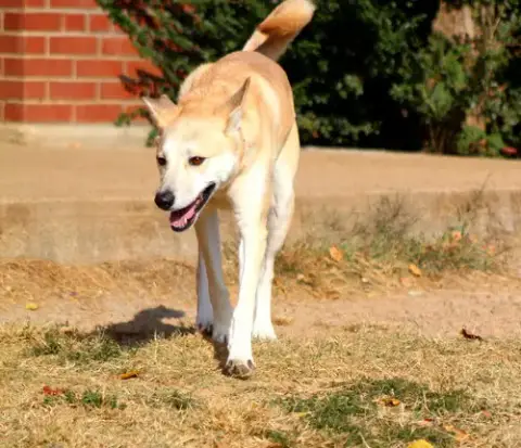 Luna photo 3