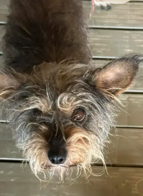 Princess In Tx photo 2
