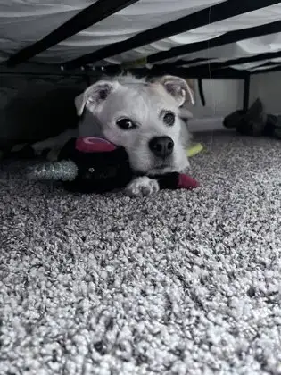 Coco photo 2