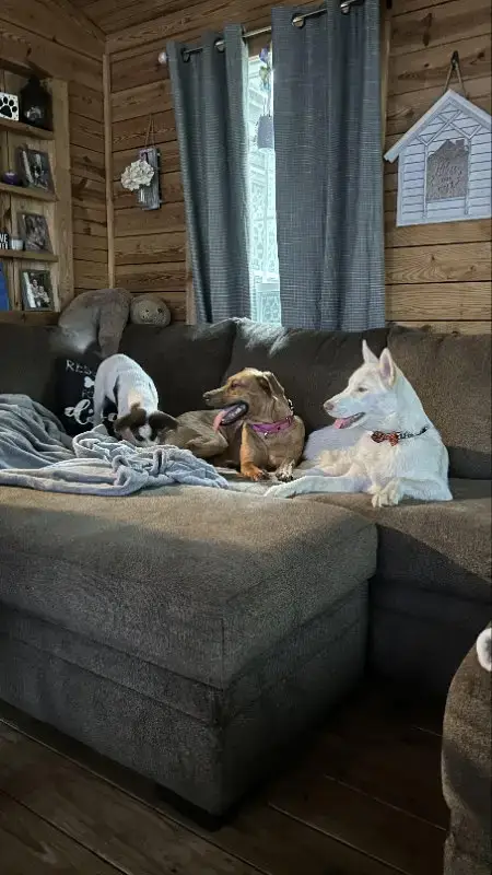 Penny photo 5