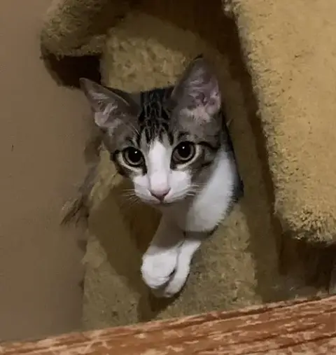 Theodore