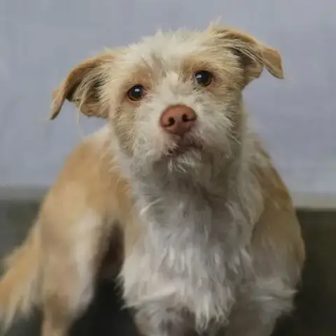 Benny