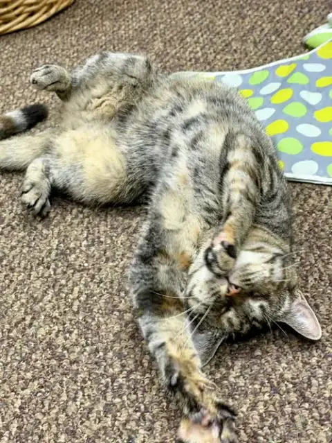 Doris photo 5