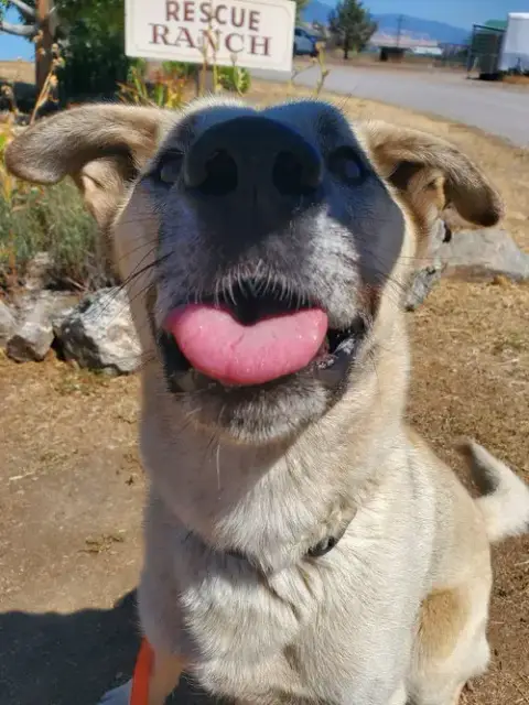 Floyd photo 4