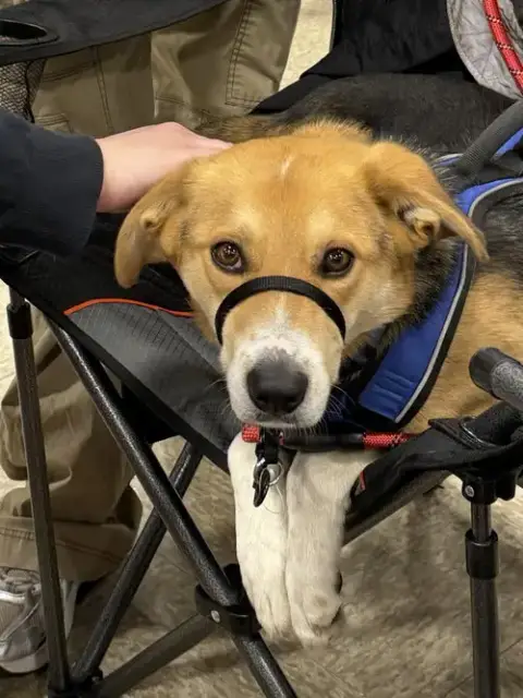 Axel