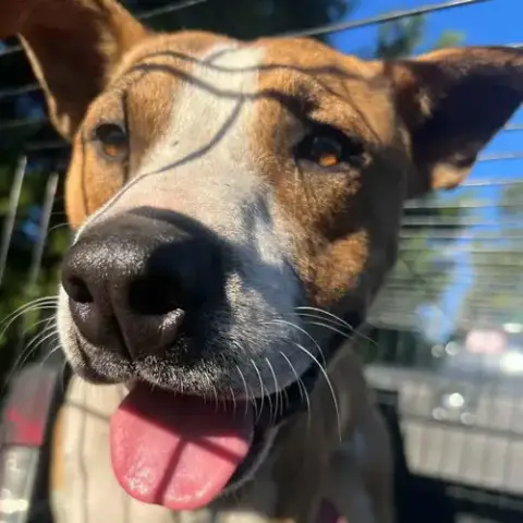 Tucker