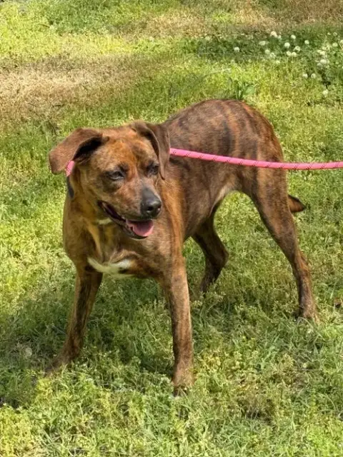 Xena photo 4