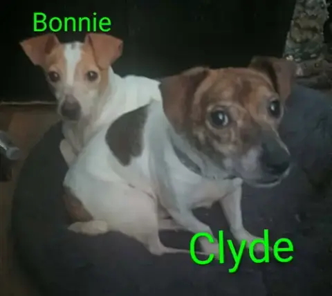 Bonnie & Clyde