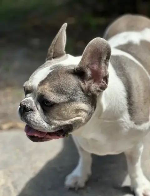 Skylar photo 3
