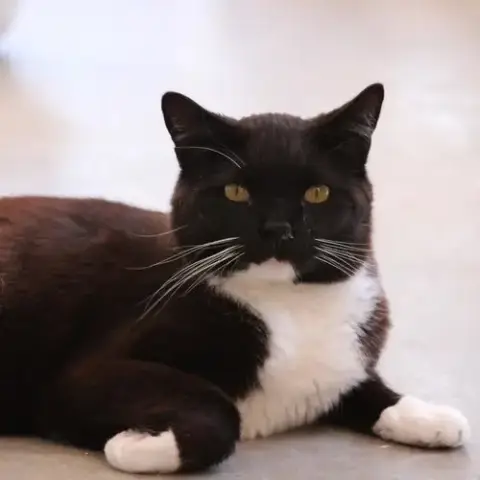 Aaron