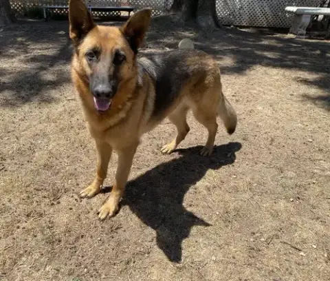 Skye