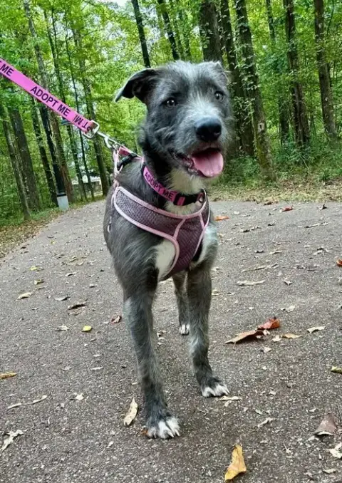 Holly photo 5