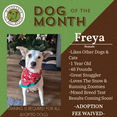 Freya