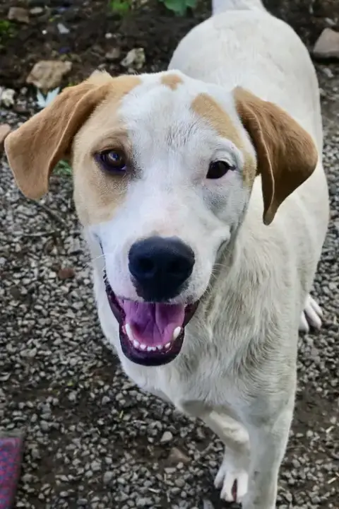 Linus photo 3