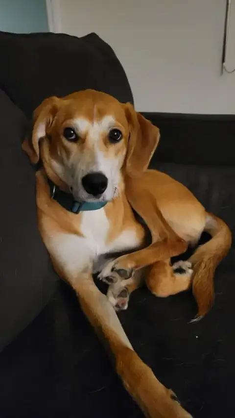 Tucker photo 4