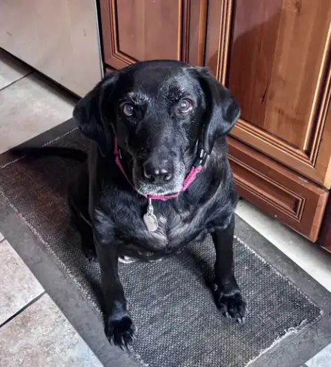 Maggie