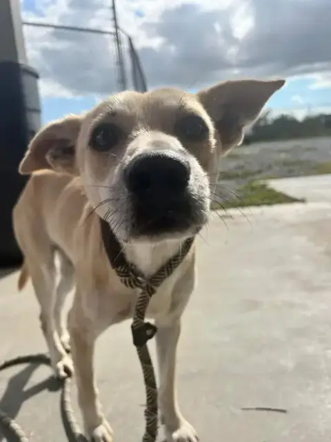 Ryan- Gentle Soul!
