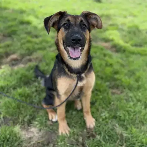 *Sasha