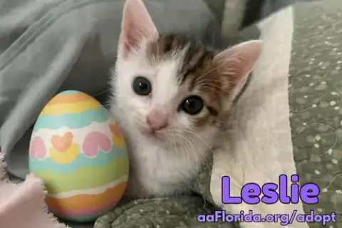 Leslie photo 3