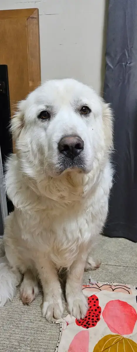 Mama photo 2