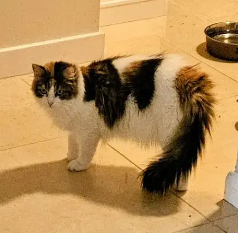Trixie photo 2