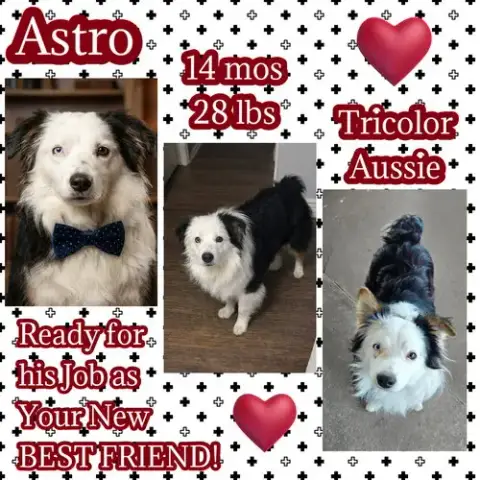 Astro