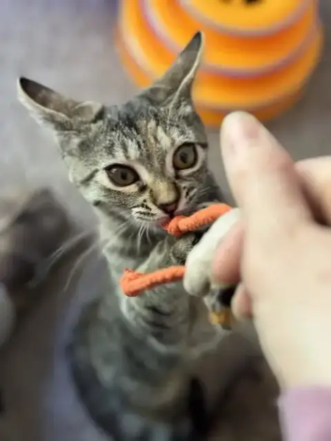 Ella