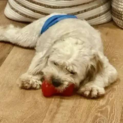 Tofu photo 3