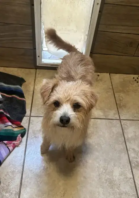 Mateo