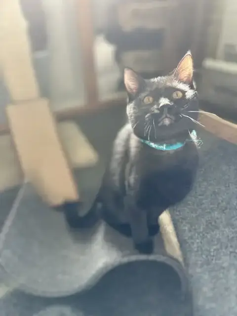 Ella