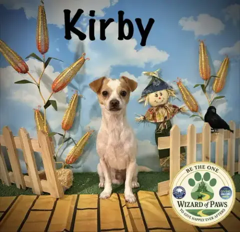 Kirby photo 2