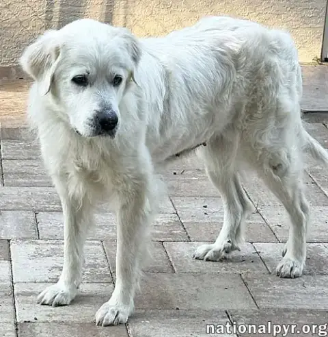 Heidi In Fl photo 3