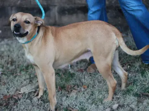 Lucky Lady photo 3