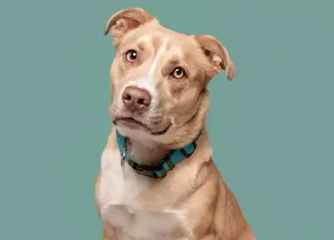 Tito