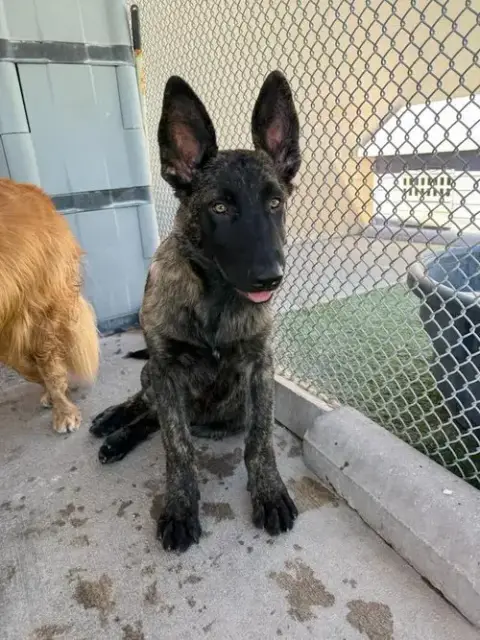 Sully Jr Located In Ar photo 4