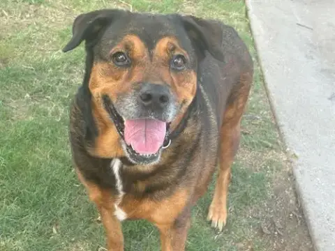 Mama Daisy