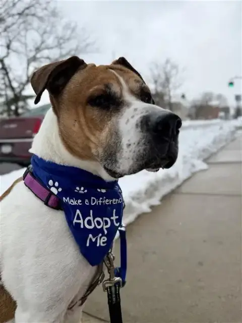Wally photo 2